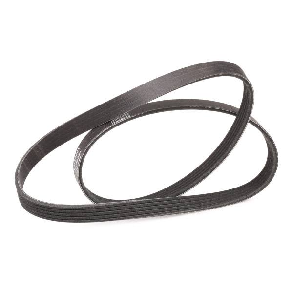 V-ribbed Belt