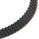 Timing Belt
