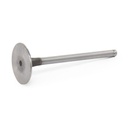Intake Valve