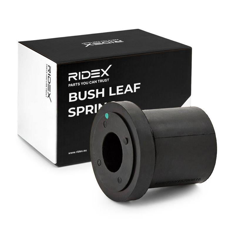 Bushing, leaf spring