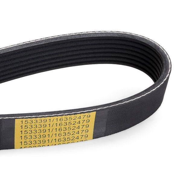 V-ribbed Belt