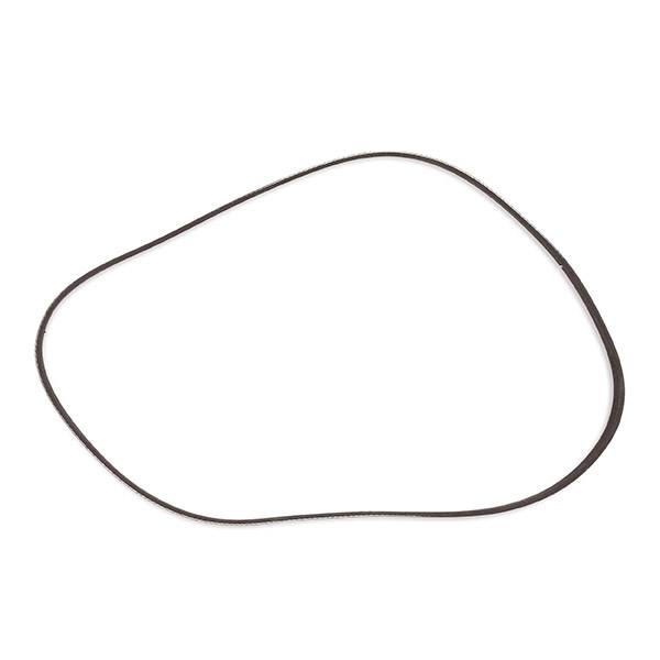 V-ribbed Belt