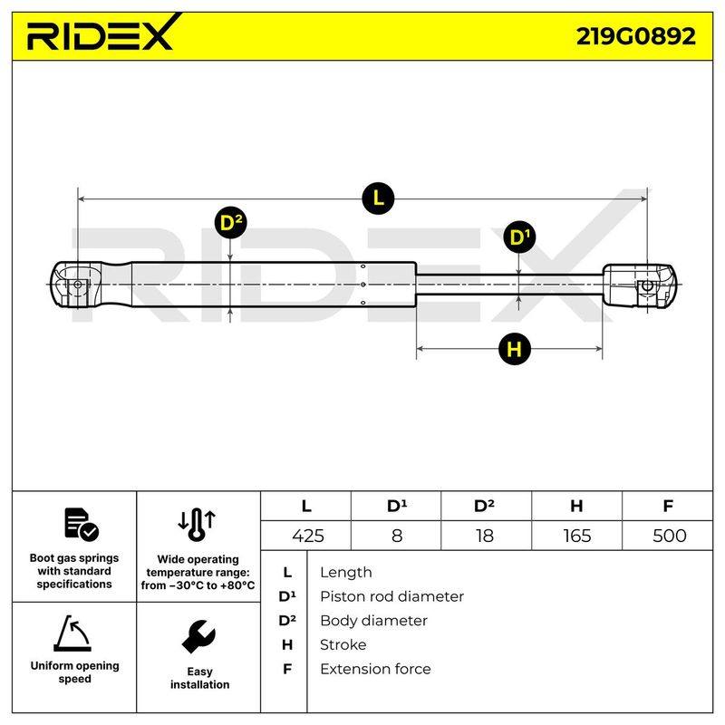 Gas Spring, boot/cargo area