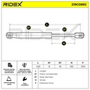 Gas Spring, boot/cargo area