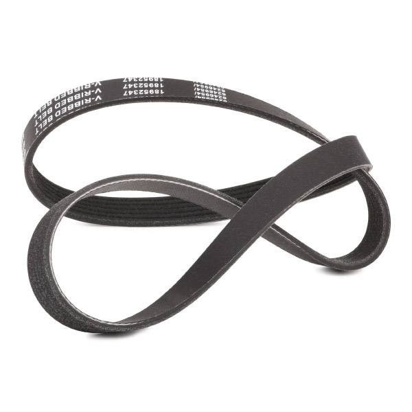 V-ribbed Belt
