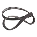 V-ribbed Belt