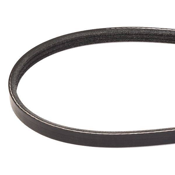 V-ribbed Belt