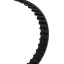 Timing Belt