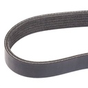V-ribbed Belt