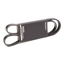 V-ribbed Belt
