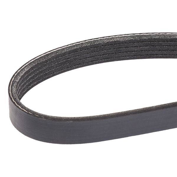V-ribbed Belt
