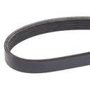 V-ribbed Belt