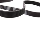V-ribbed Belt