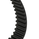 Timing Belt
