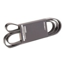 V-ribbed Belt