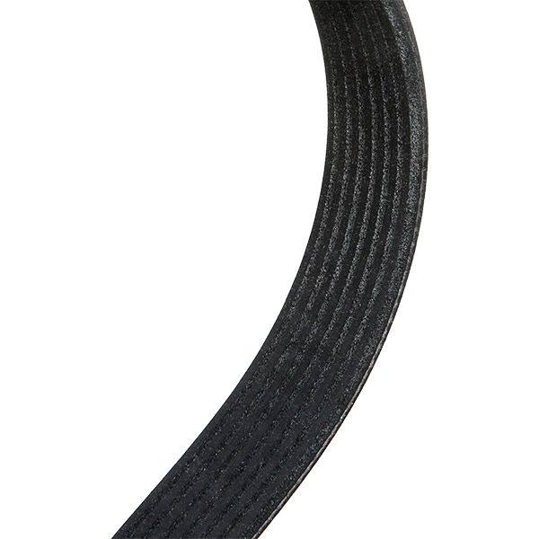 V-ribbed Belt