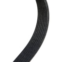 V-ribbed Belt