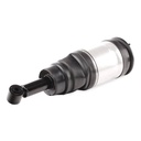 Air Suspension Strut