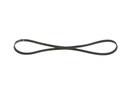 V-ribbed Belt