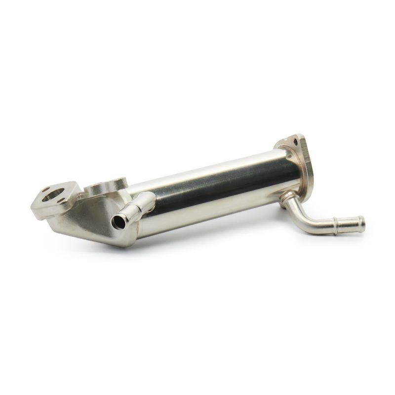 EGR Module