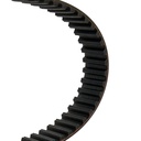 Timing Belt