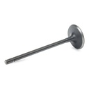 Intake Valve