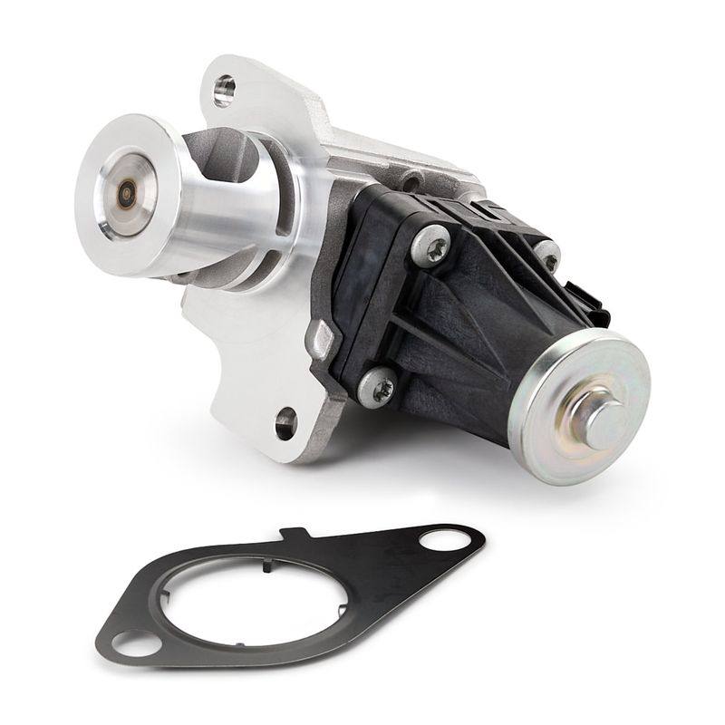 EGR Module