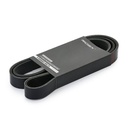 V-ribbed Belt