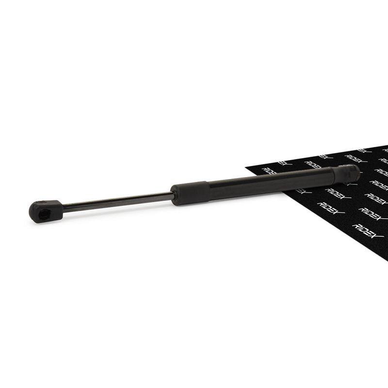 Gas Spring, bonnet