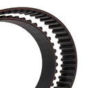 Timing Belt
