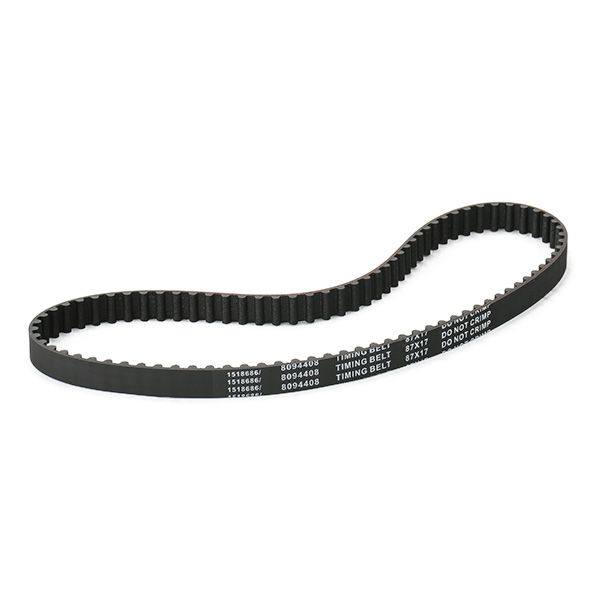 Timing Belt