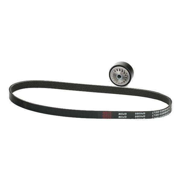 V-ribbed Belt Set
