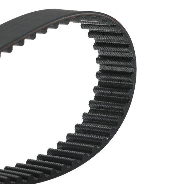 Timing Belt