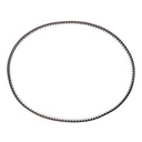 Timing Belt
