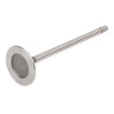 Intake Valve