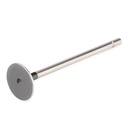 Exhaust Valve