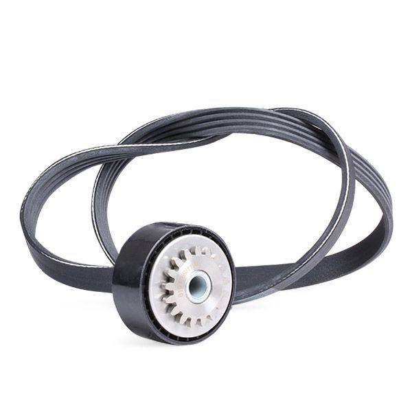 V-ribbed Belt Set