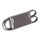 V-ribbed Belt
