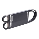 V-ribbed Belt
