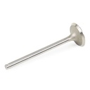Intake Valve