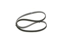V-ribbed Belt