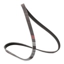 V-ribbed Belt