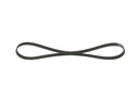 V-ribbed Belt