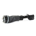 Air Suspension Strut