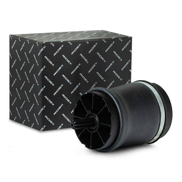 Air Spring, suspension
