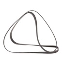 V-ribbed Belt
