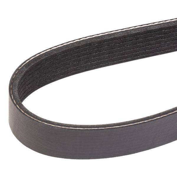 V-ribbed Belt