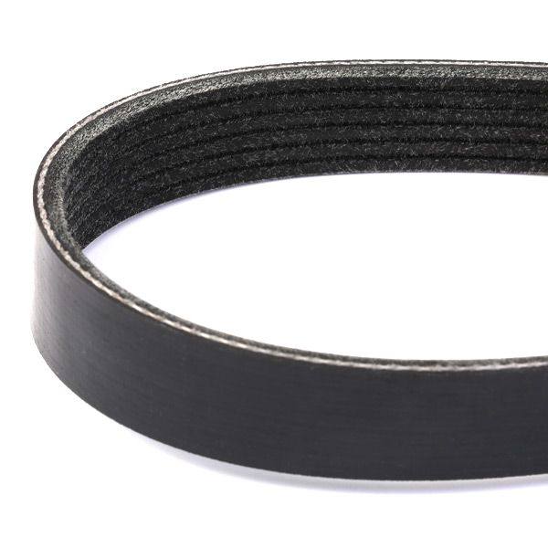 V-ribbed Belt