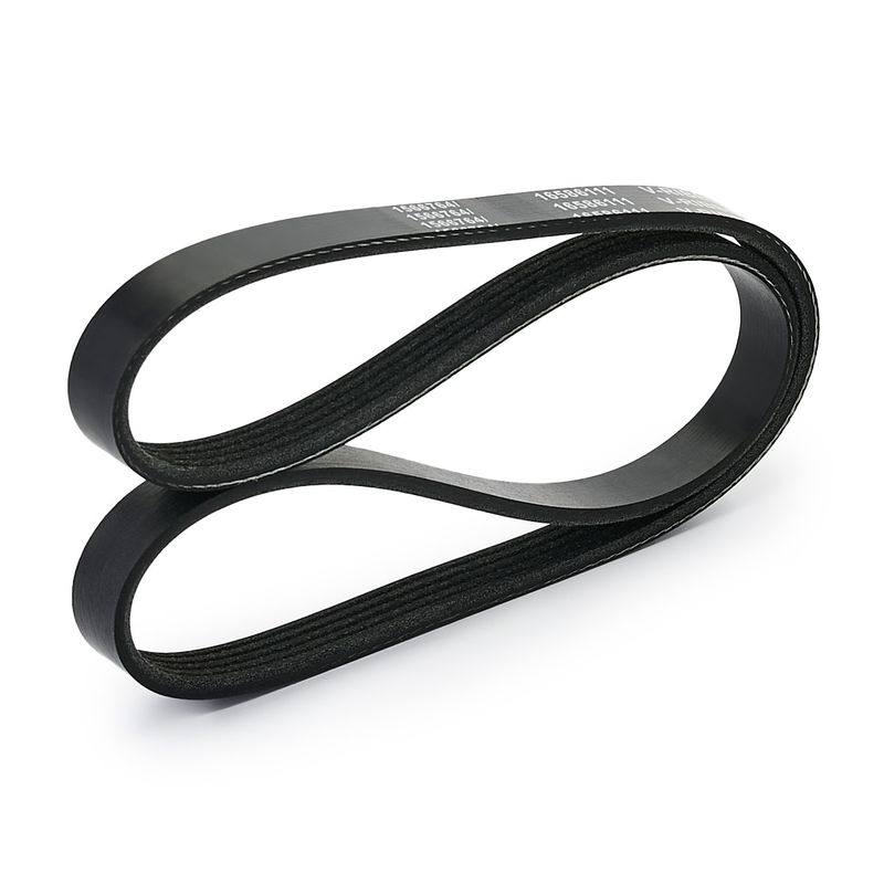 V-ribbed Belt
