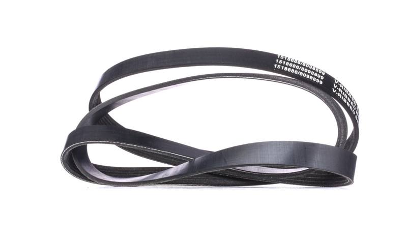 V-ribbed Belt Set